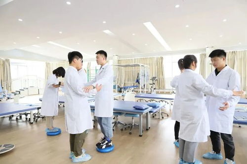 專業(yè)解碼全視角 重塑生命動(dòng)能，探索康復(fù)治療技術(shù)的核心價(jià)值